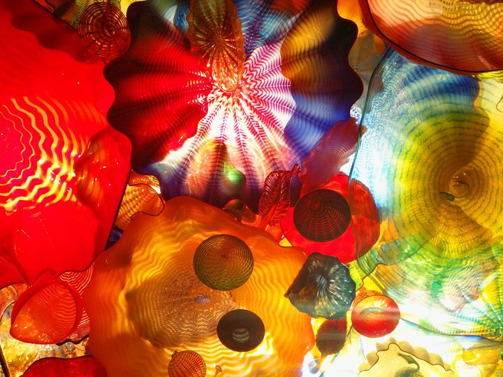 Flower roof in Seattle