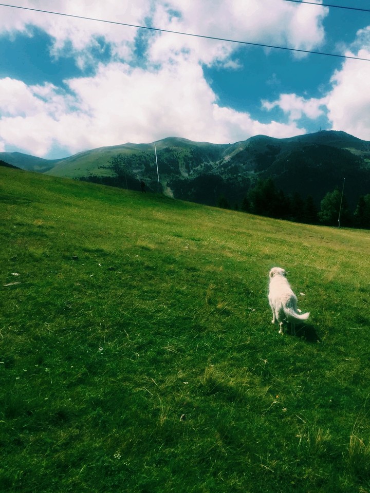 Nature