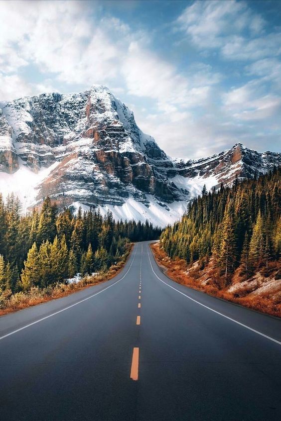 lonely road