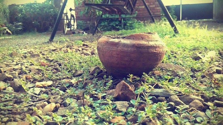 water pot