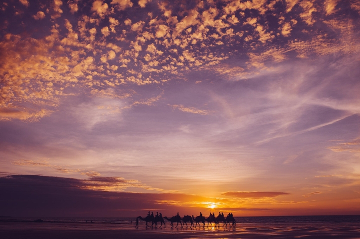 Clouds & Camels