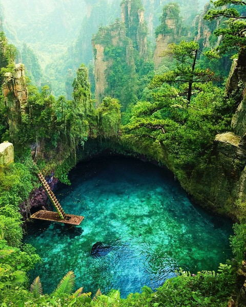nature