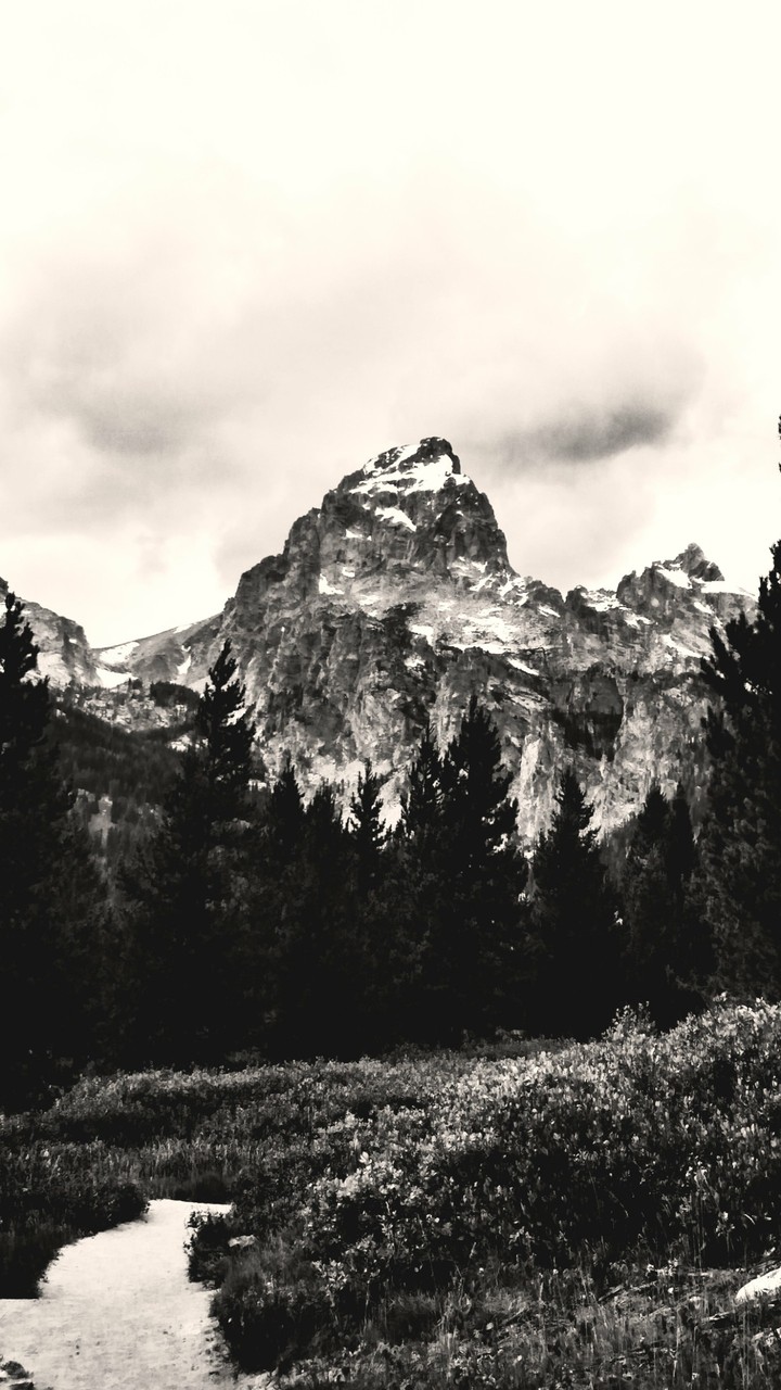 Black And White Grand Teton