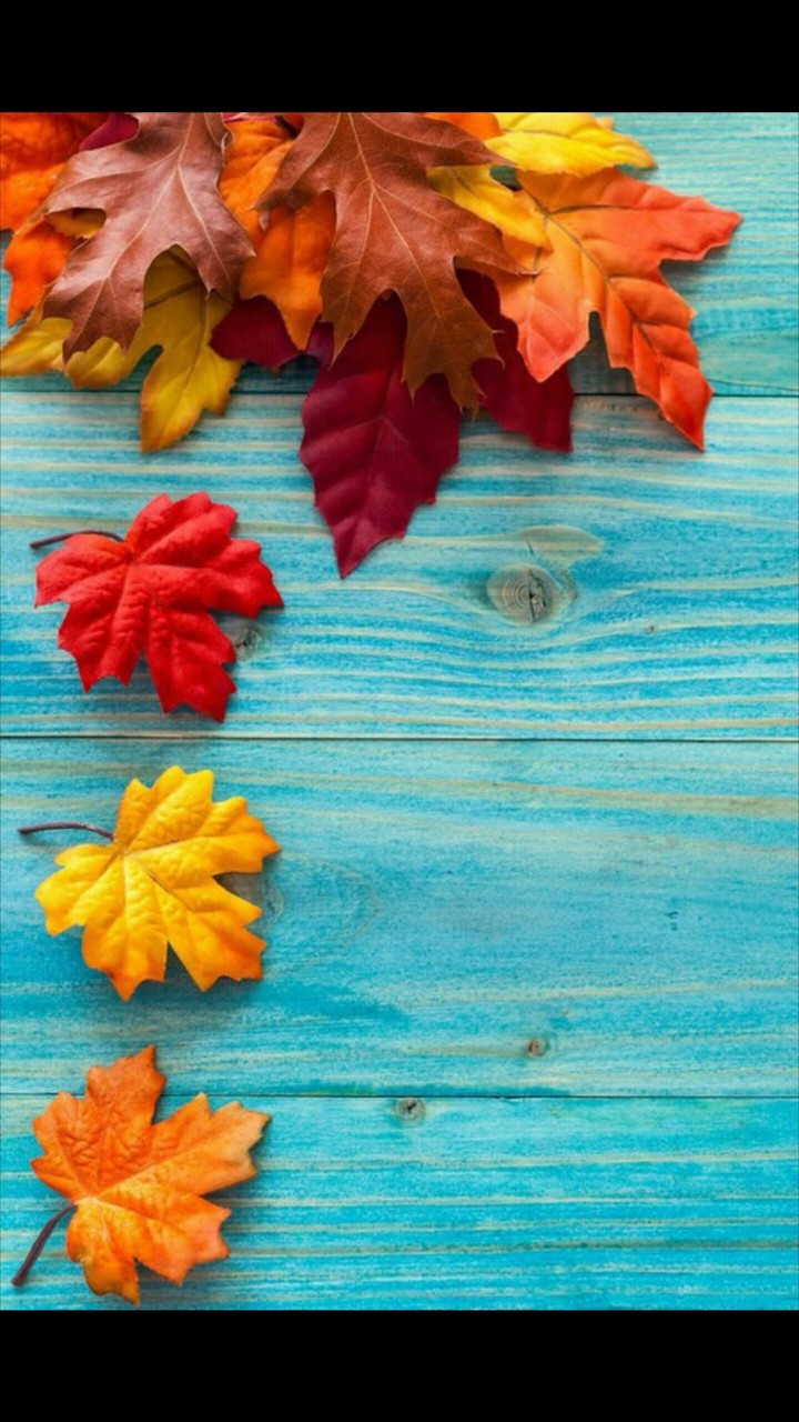 leaf