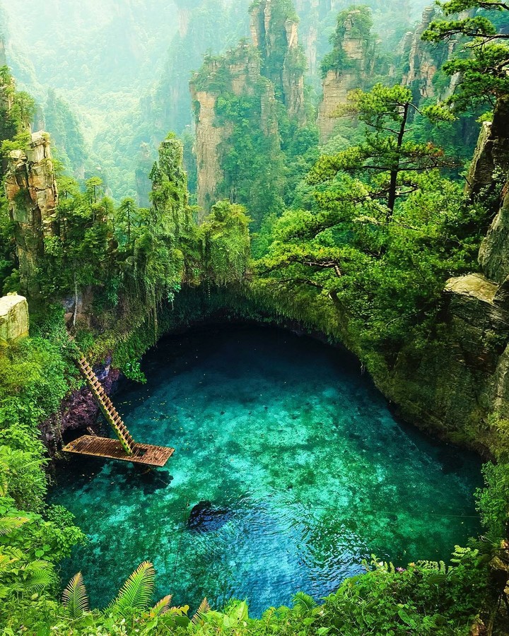 nature