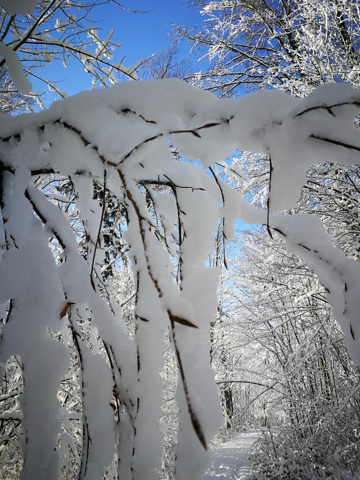 Lovely Winter Day