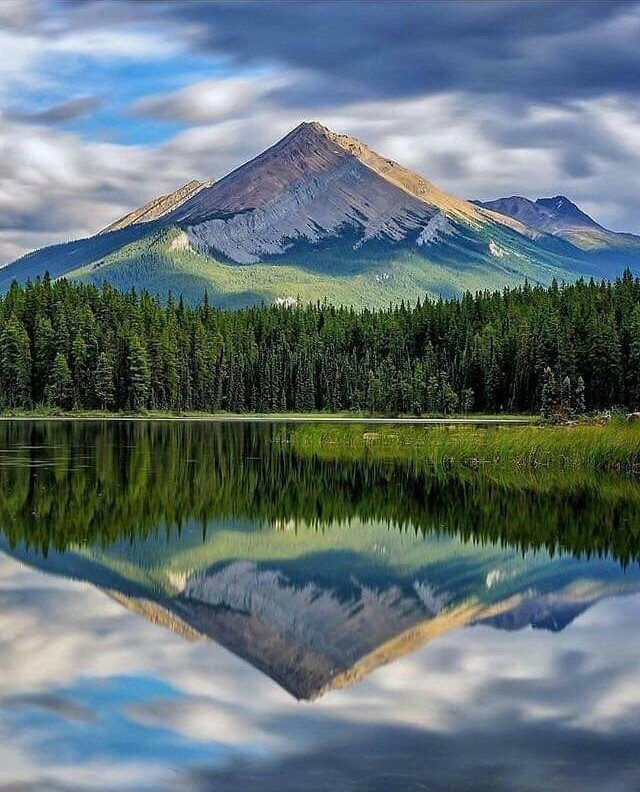 Nature♣