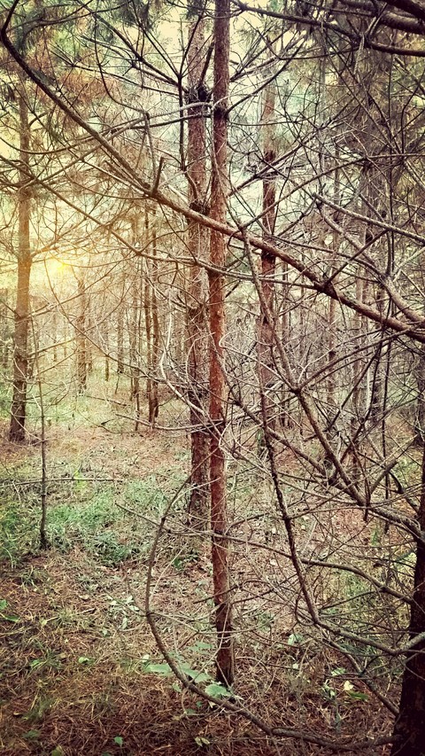 nightfall
