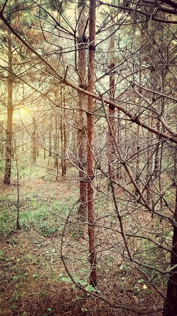 nightfall