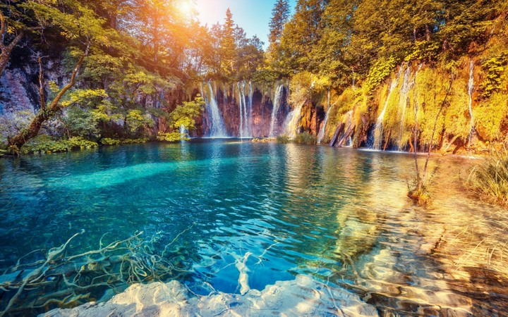 nature