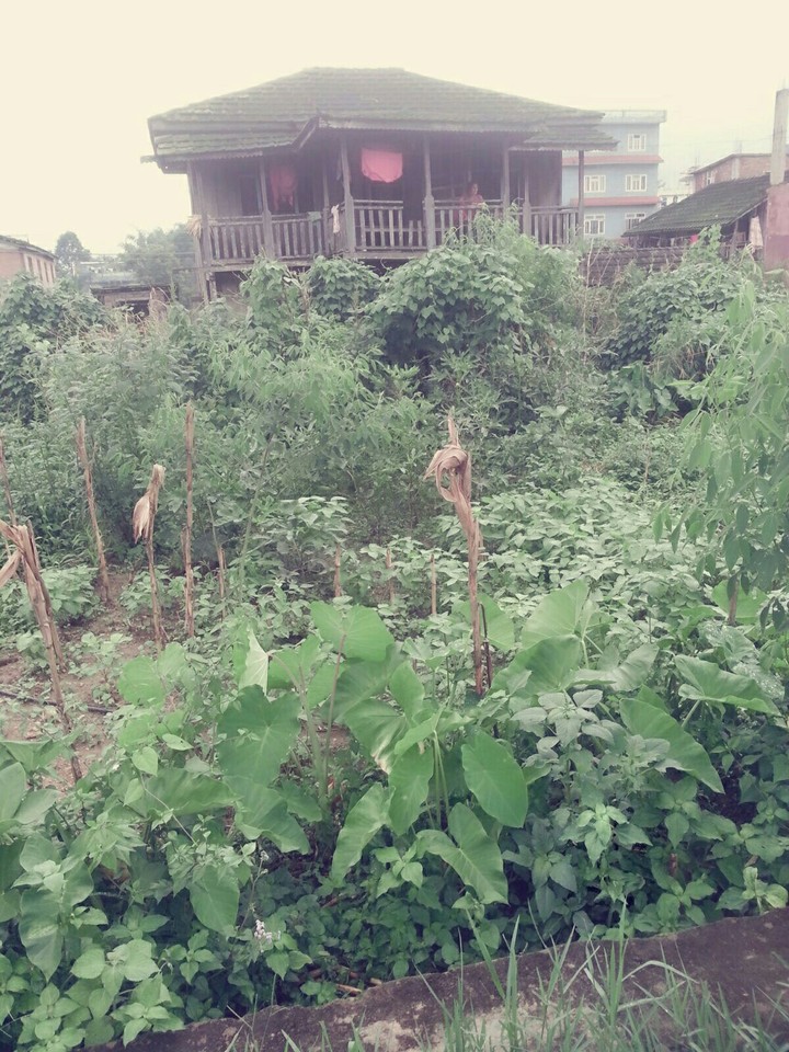 Traditional Home