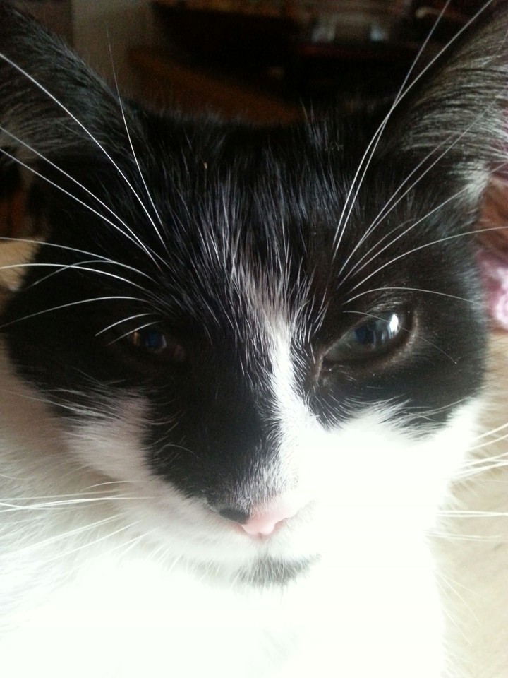 Lucie