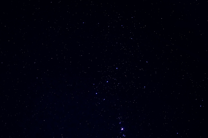 Orion