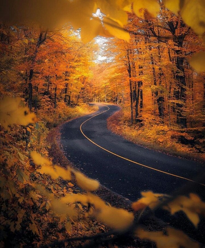 ❤