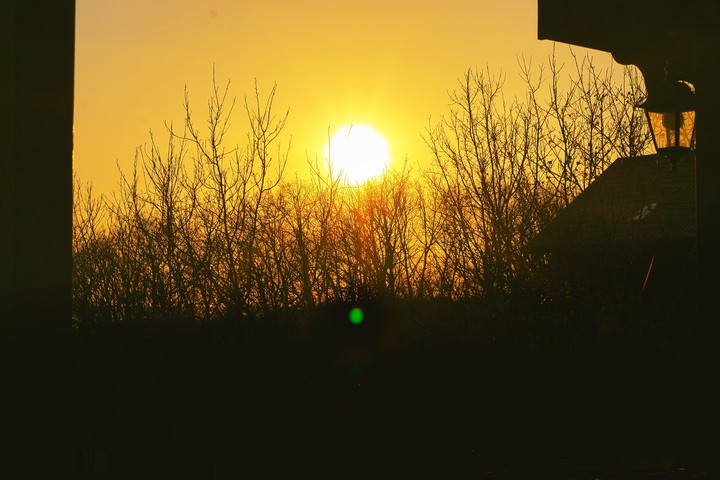 Black and Yellow