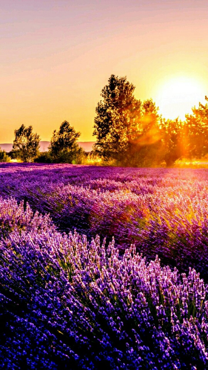 Nature/Природа