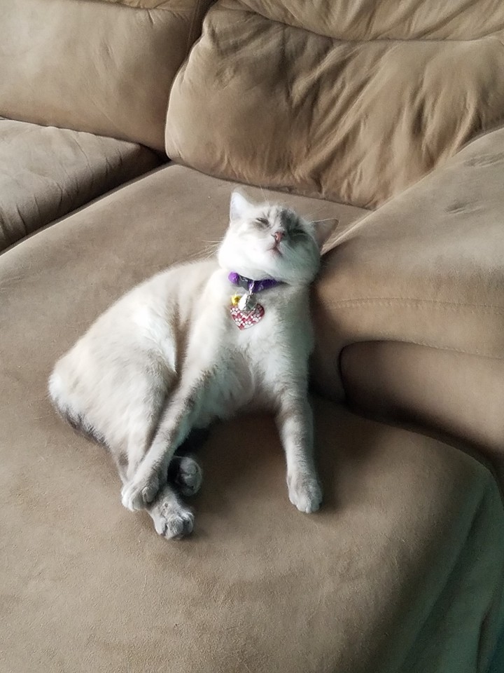 Nina