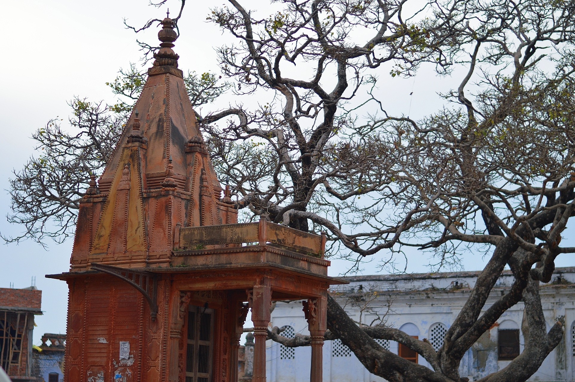 Temple behind the trees