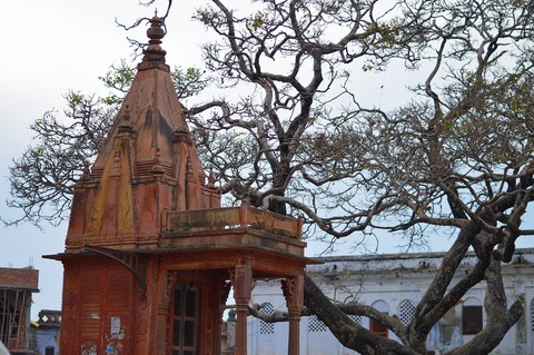 Temple behind the trees