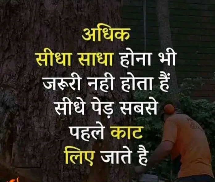 true thought乁[ ◕ ᴥ ◕ ]ㄏ