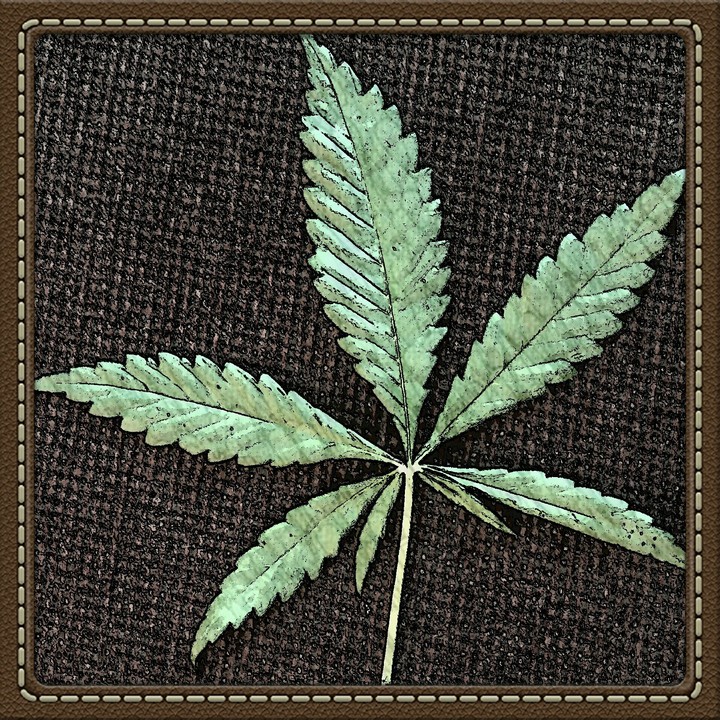 Verde, 