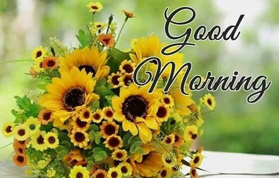morning