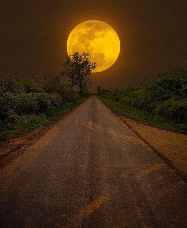 Moon