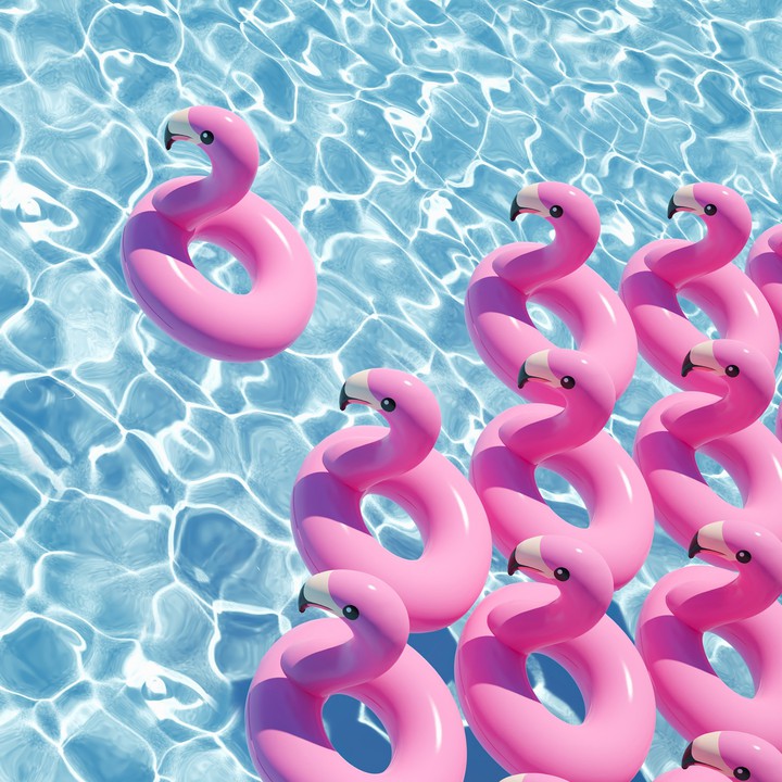 flamingo