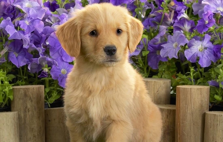 cute