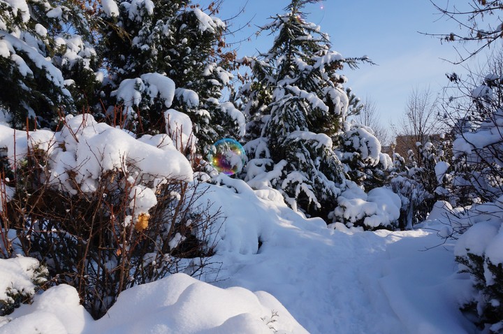 Winter is beautiful