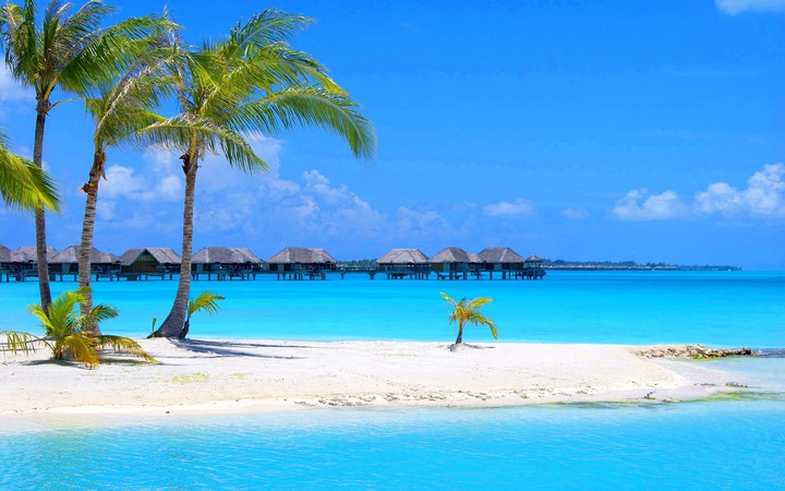 blue sea
