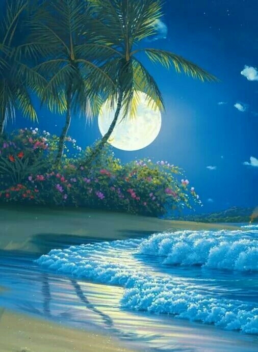 moon light