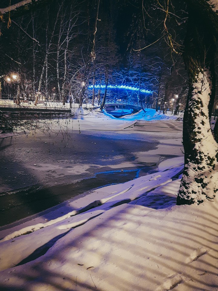Vladikavkaz Park
