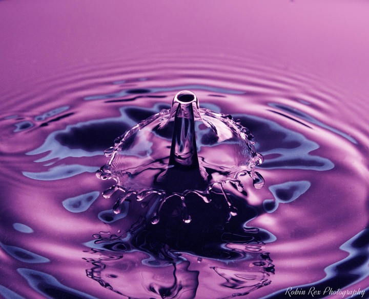 Water Drops