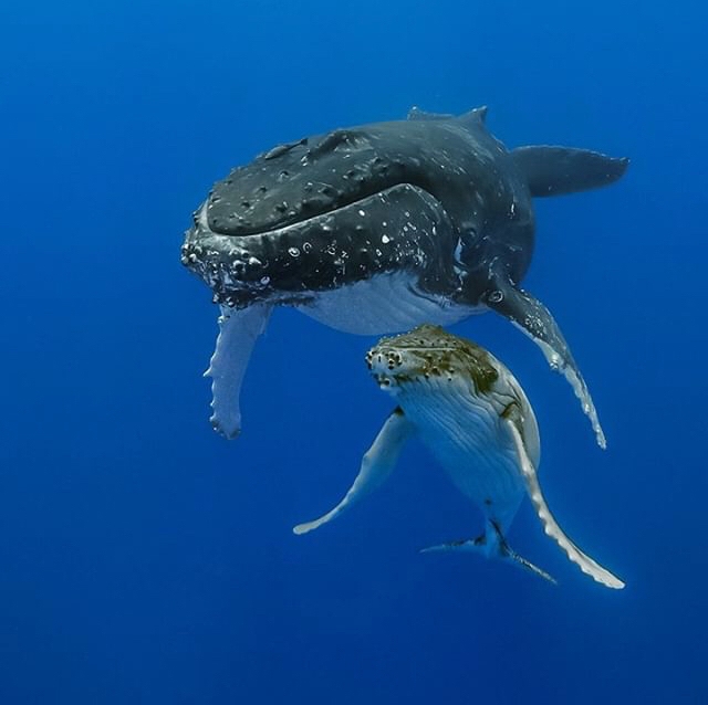Mother & Daughter