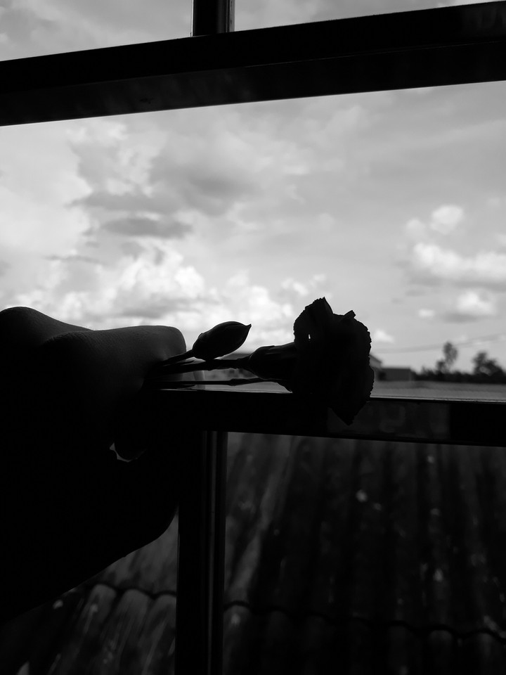 Flower of sad life
