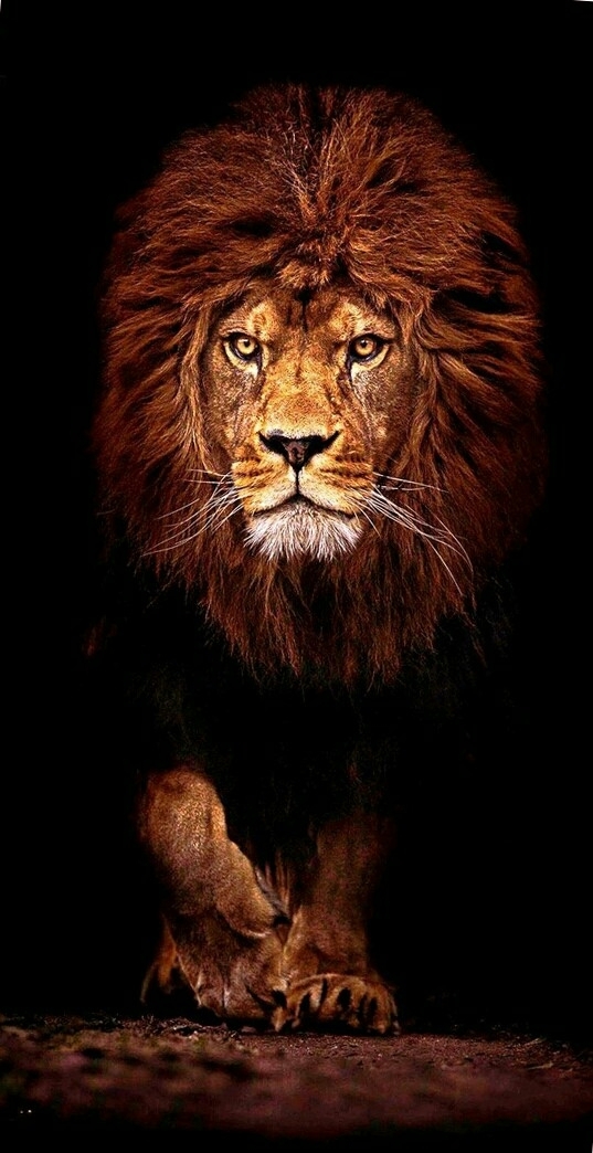 leon