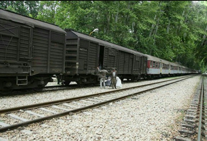 The train