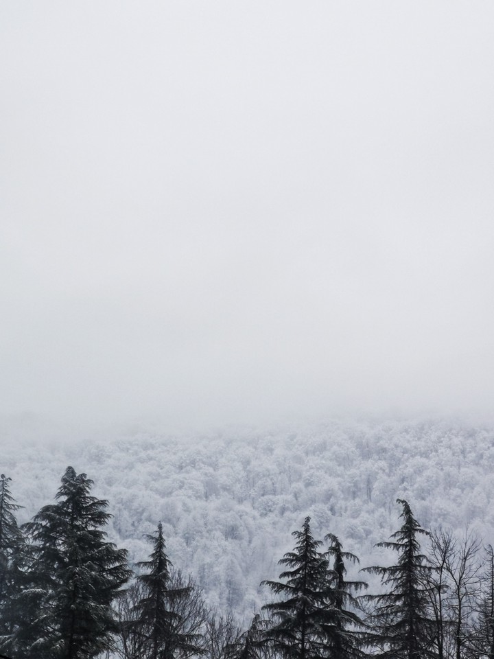 Only snow