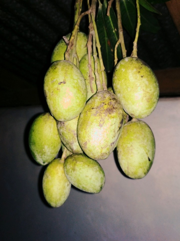 mango