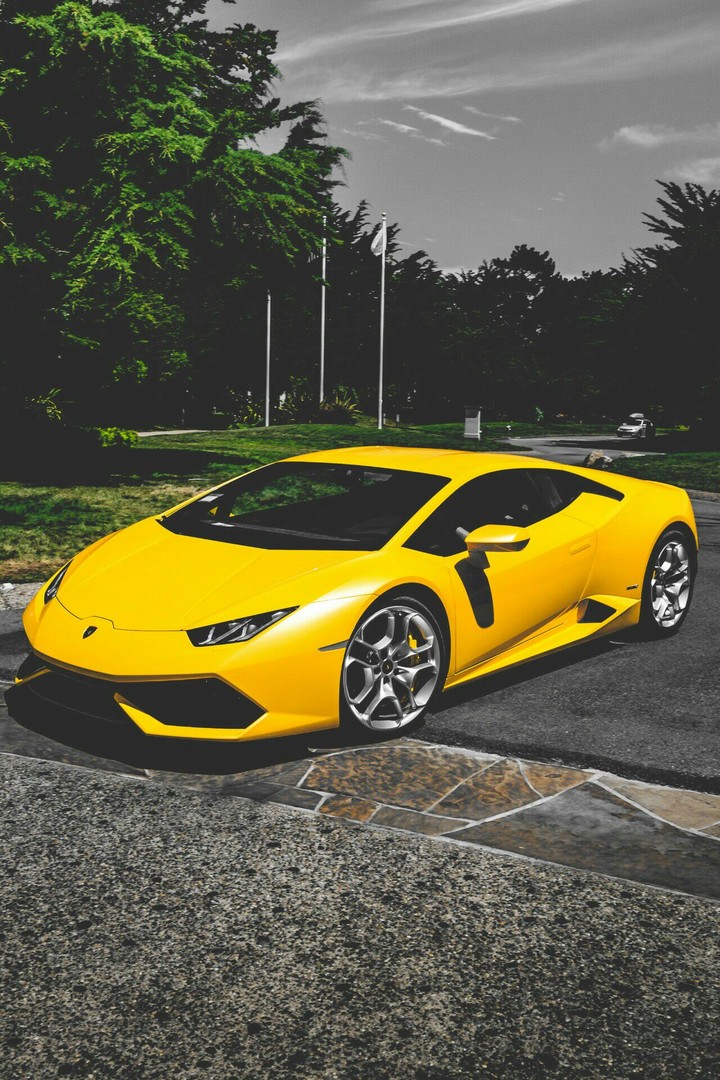 lamborghini♚