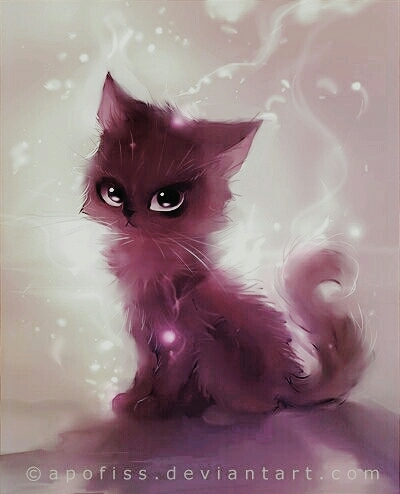 petit chat
