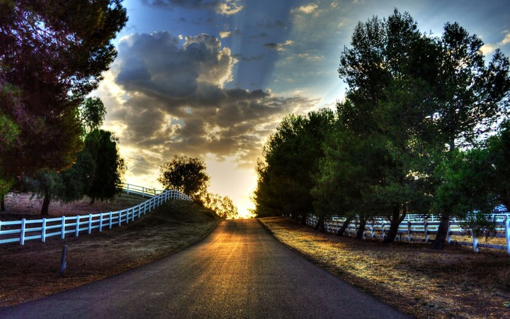 nature
