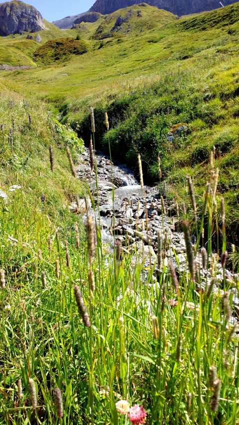 just a little stream