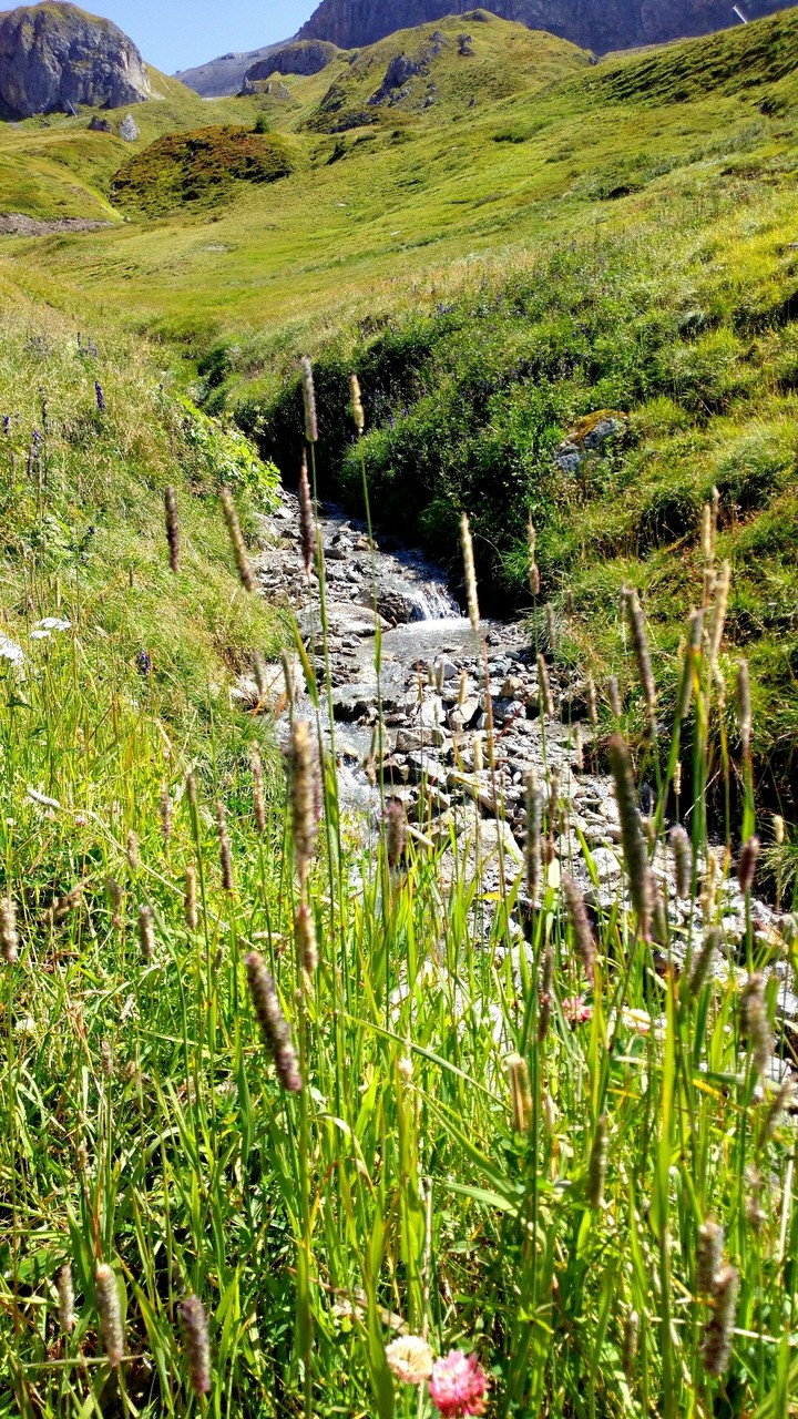 just a little stream