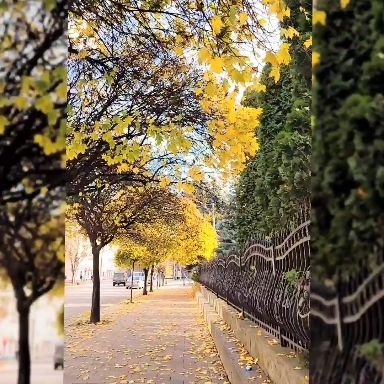 #streetphotography #streets #autumncolors #walks