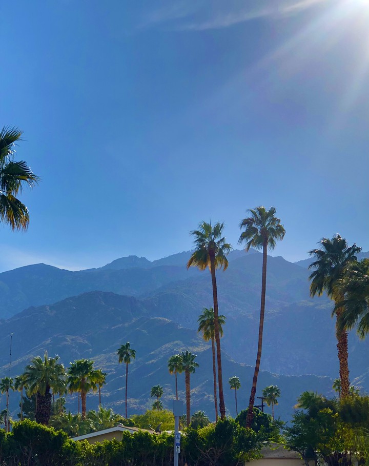 Palmeras y Sierra