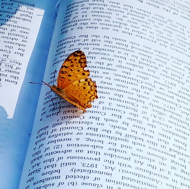Study time But Nature plays....