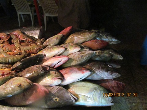 Today's catch at Kovalum beach