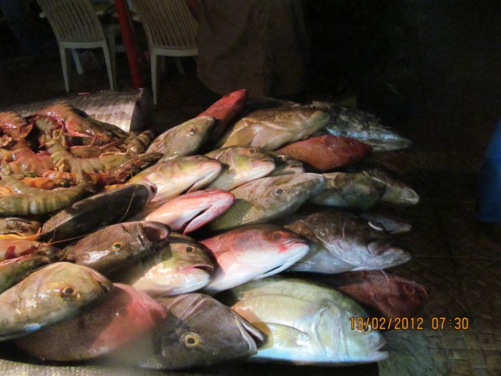 Today's catch at Kovalum beach
